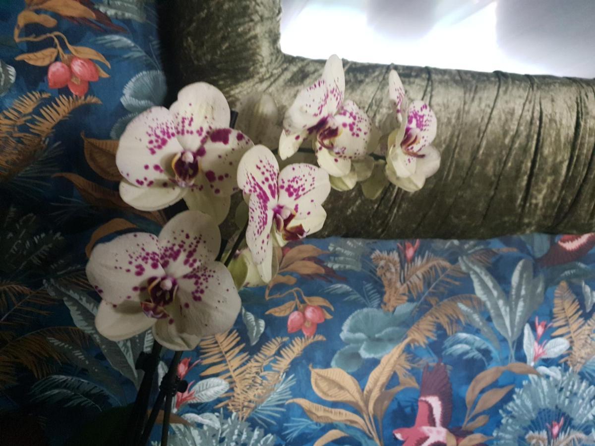 Jasmine Coral Jay Boutique Boatel Ocean Village Gibraltar Buitenkant foto