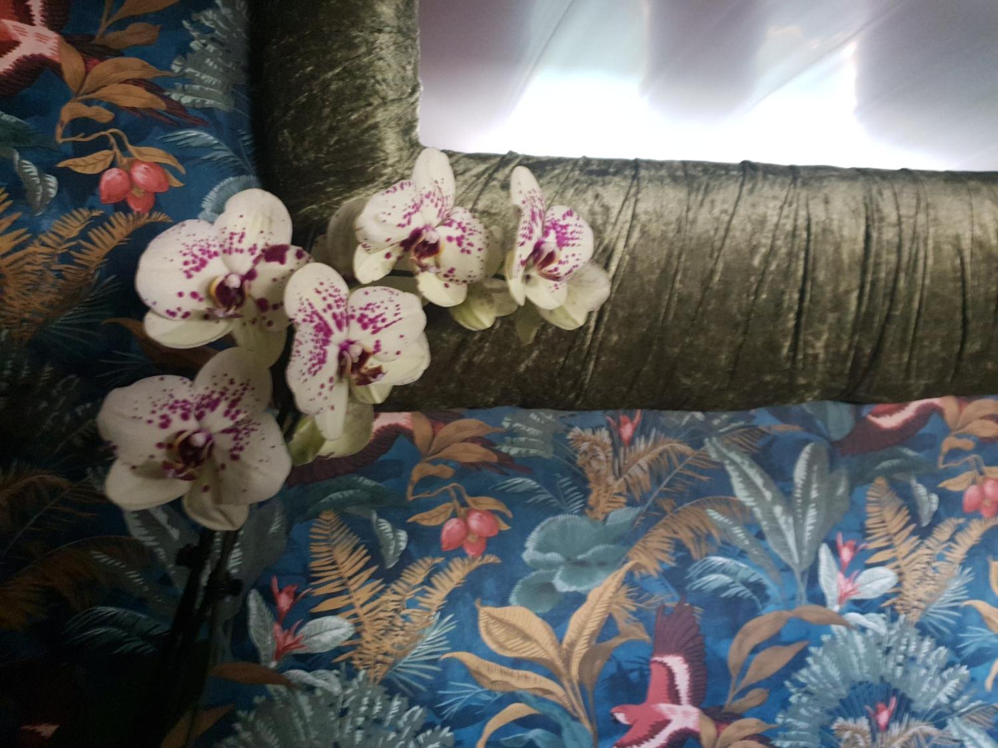 Jasmine Coral Jay Boutique Boatel Ocean Village Gibraltar Kamer foto